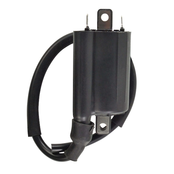 Rmstator External Ignition Coil for Kawasaki Honda Mule Lakota CRF R NSS NT TRX VFR VTR Interceptor 250 450 RM06163 - main